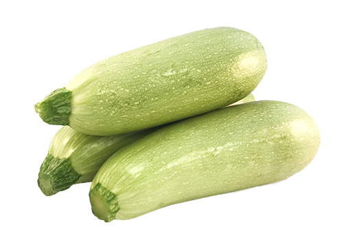 Calabacin Blanco